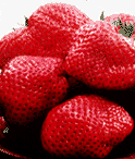 [StrawberryJam's Strawberries]