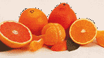 [Citrus Fruit]